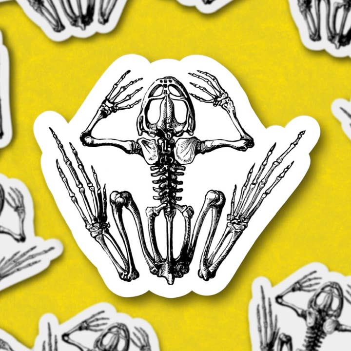 Frog skelet, kabinet af nysgerrighed, vinyl klistermærke for engroshandel hos Sage and Virgo