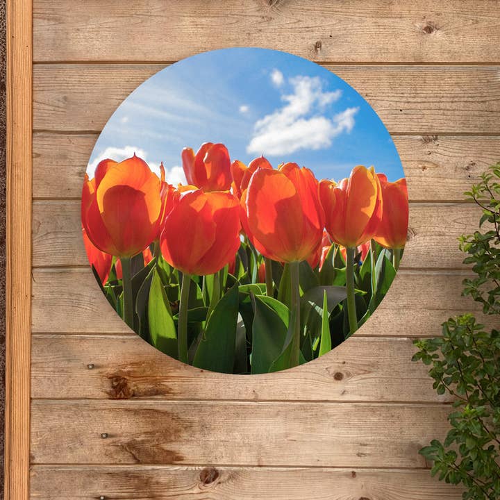 Wallcircle Rote Tulpen für den Großhandel von Wanderschoon
