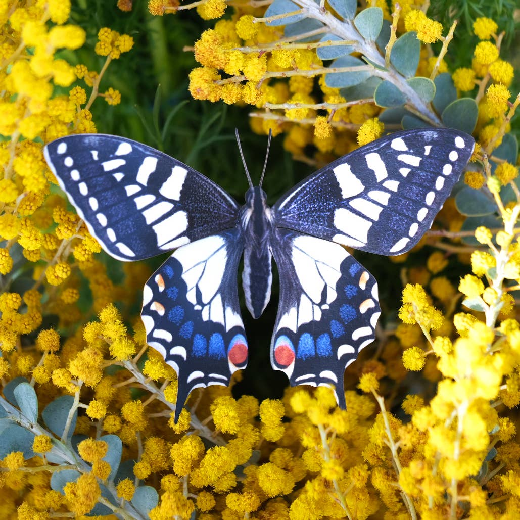 Moth and Myth - Vente Découpages - Set de 3 papillons « Southwest » en papier3