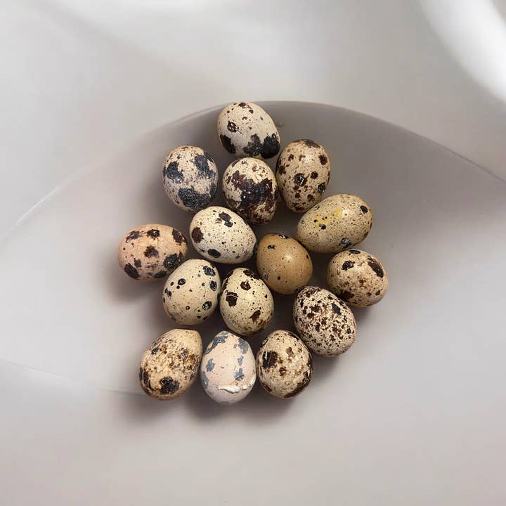 Wild West Raw - Vente Friandises – chien - Œufs de caille entiers lyophilisés (boîte de 15 œufs)2