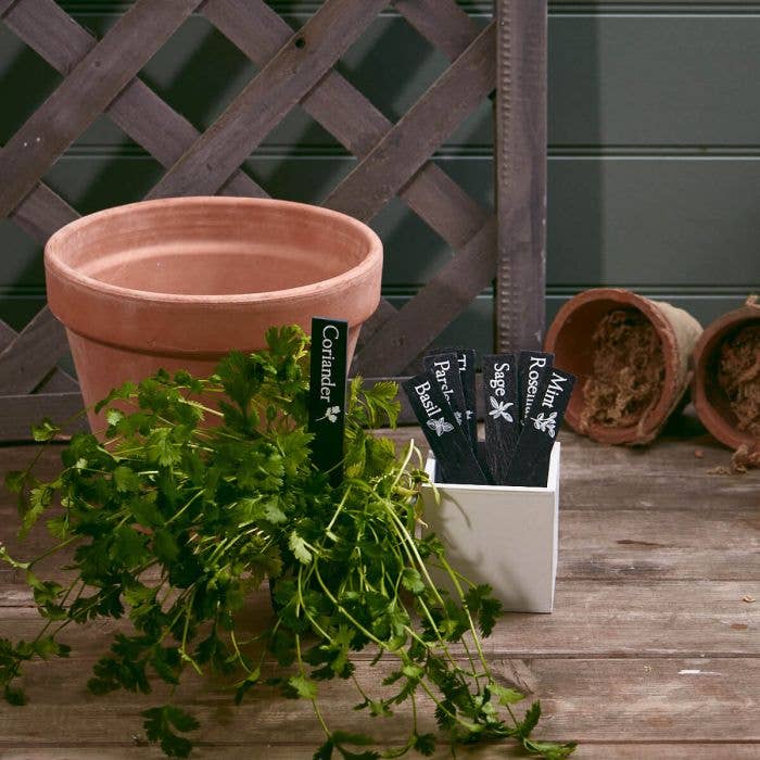 Langs - Vente Piquets de jardin/pelouse - Marqueur d'herbes de jardin en ardoise 8 assortis 32/pot avec illustration1