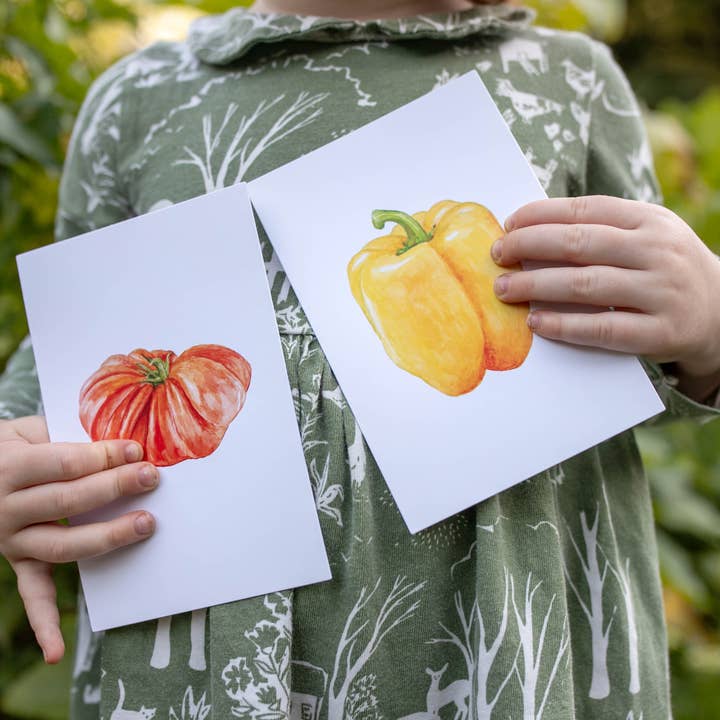 Feed & Dwell – Großhandel Lernkarten – Kind & Baby – 40 Lernkarten mit saisonalen Produkten | Garten-Lernkarten