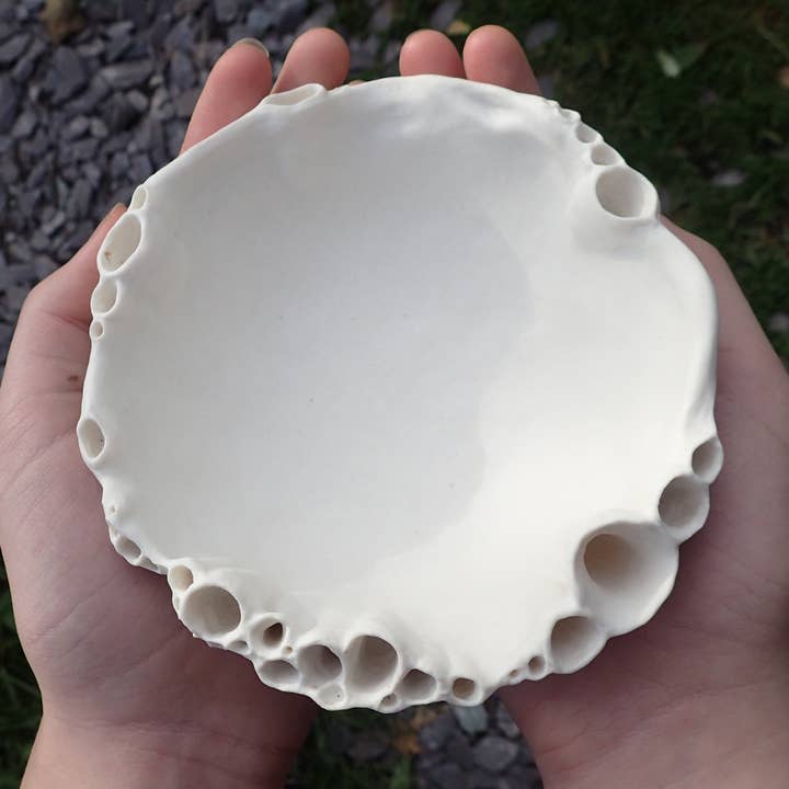 Porcelain Morphogenetic Bowl. Large for wholesale by Beca Beeby