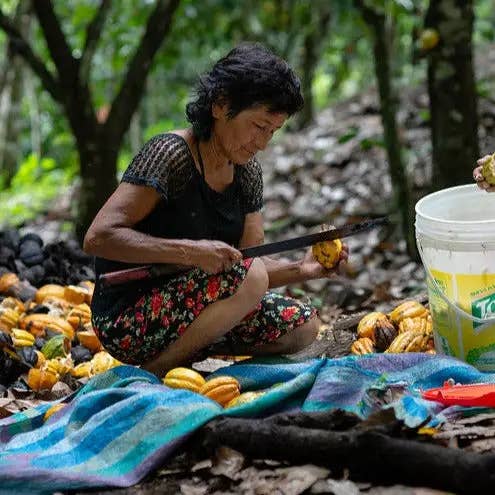 Moruga Cacao - Wholesale Hot Cocoa Mix/Kit - Chuncho Peru 🇵🇪, (Bio)6