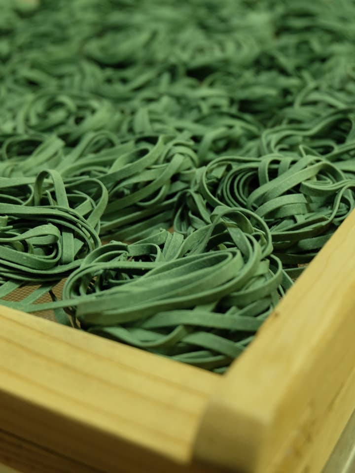 Pasta Tagliatelle mit Spirulina-Algen - Großpackung 3 kg für den Großhandel von PATES FABRE