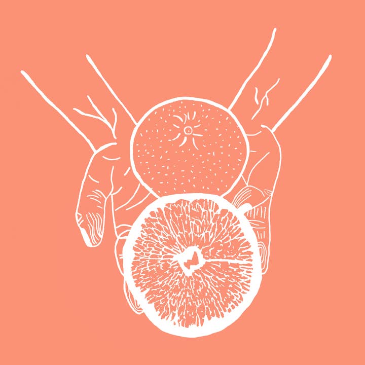 The Nourishment Collection: Grapefruit for wholesale by Charlotte Holt Art