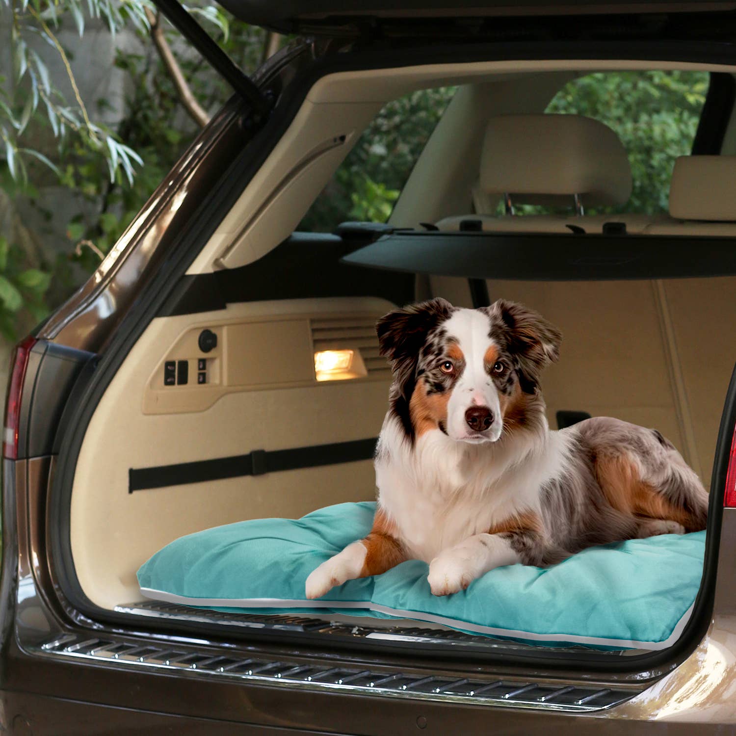 Precious Tails - Vente Panier – chien - Lit pour animal domestique Precious Tails « Go Anywhere » résistant à l'eau et aux mastications26