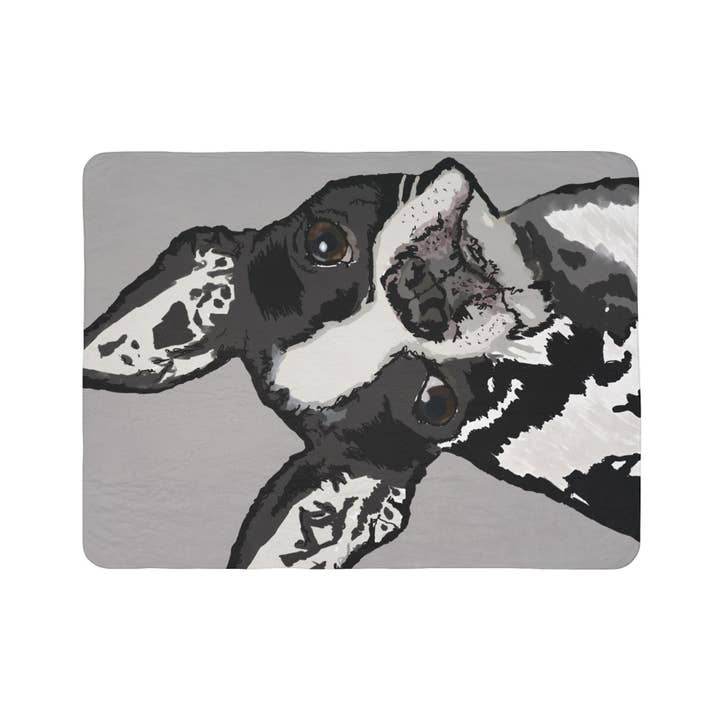 Blue Cava - Wholesale Throw Blanket - Cozy Boston Terrier Dog Lover Fleece Sherpa Blanket5