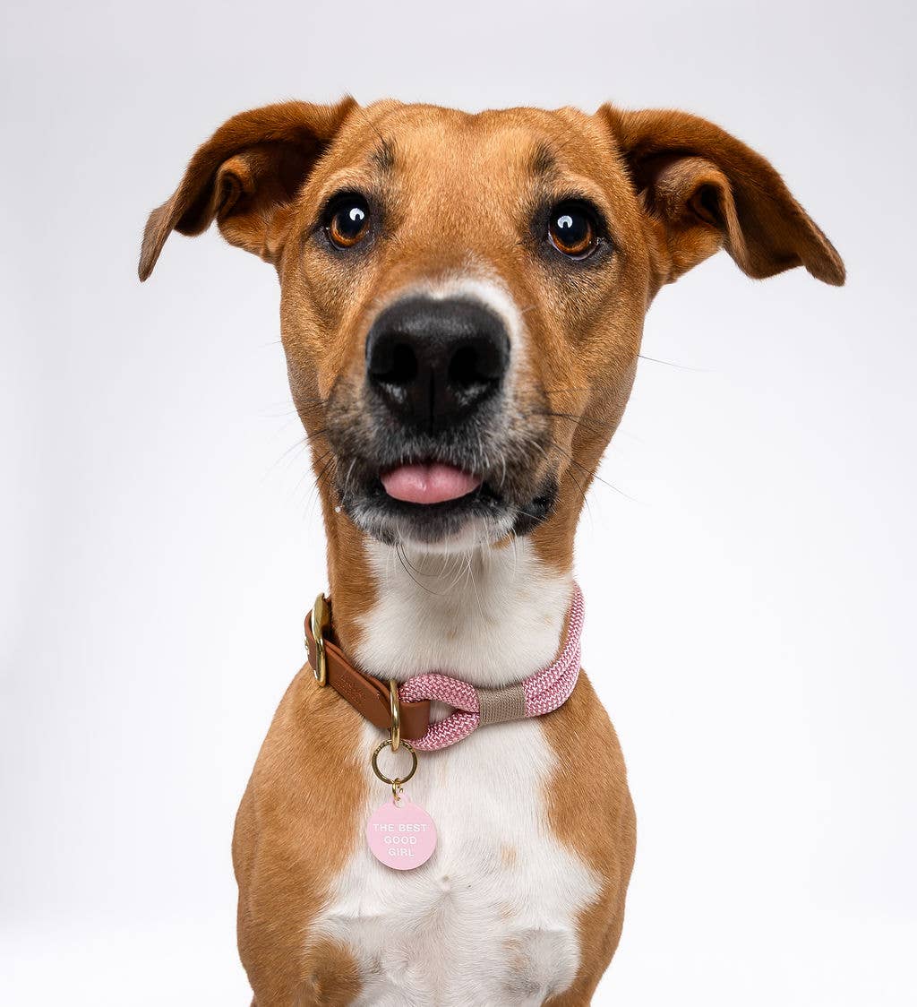 Freshwater Curated Goods - Wholesale Pet Identification Tag - Cat/Dog - The Best Good Girl Pet Tag2