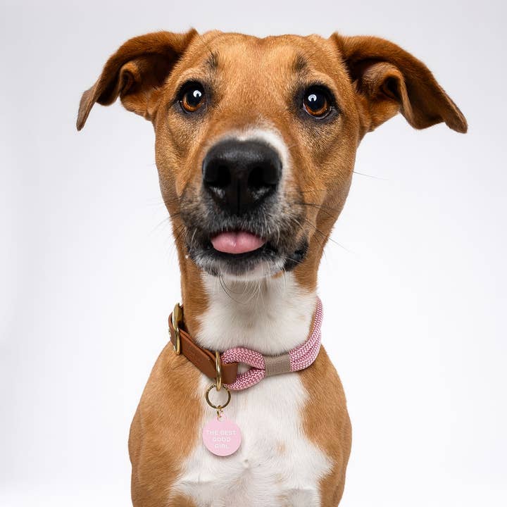 Freshwater Curated Goods - Wholesale Pet Identification Tag - Cat/Dog - The Best Good Girl Pet Tag2