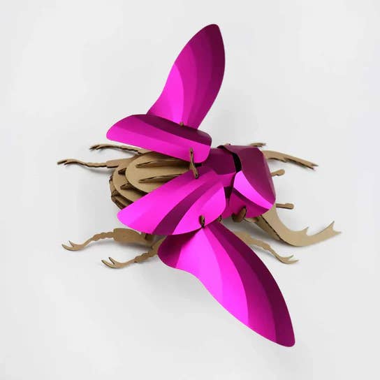 Papier Plume - Wholesale DIY Craft Kit - Paper Stag Beetle Large4