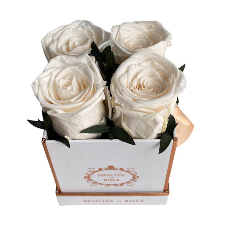 Foresta Bianca Piccolo Quadrato per la vendita all'ingrosso da parte di MONTÉE DE ROSE