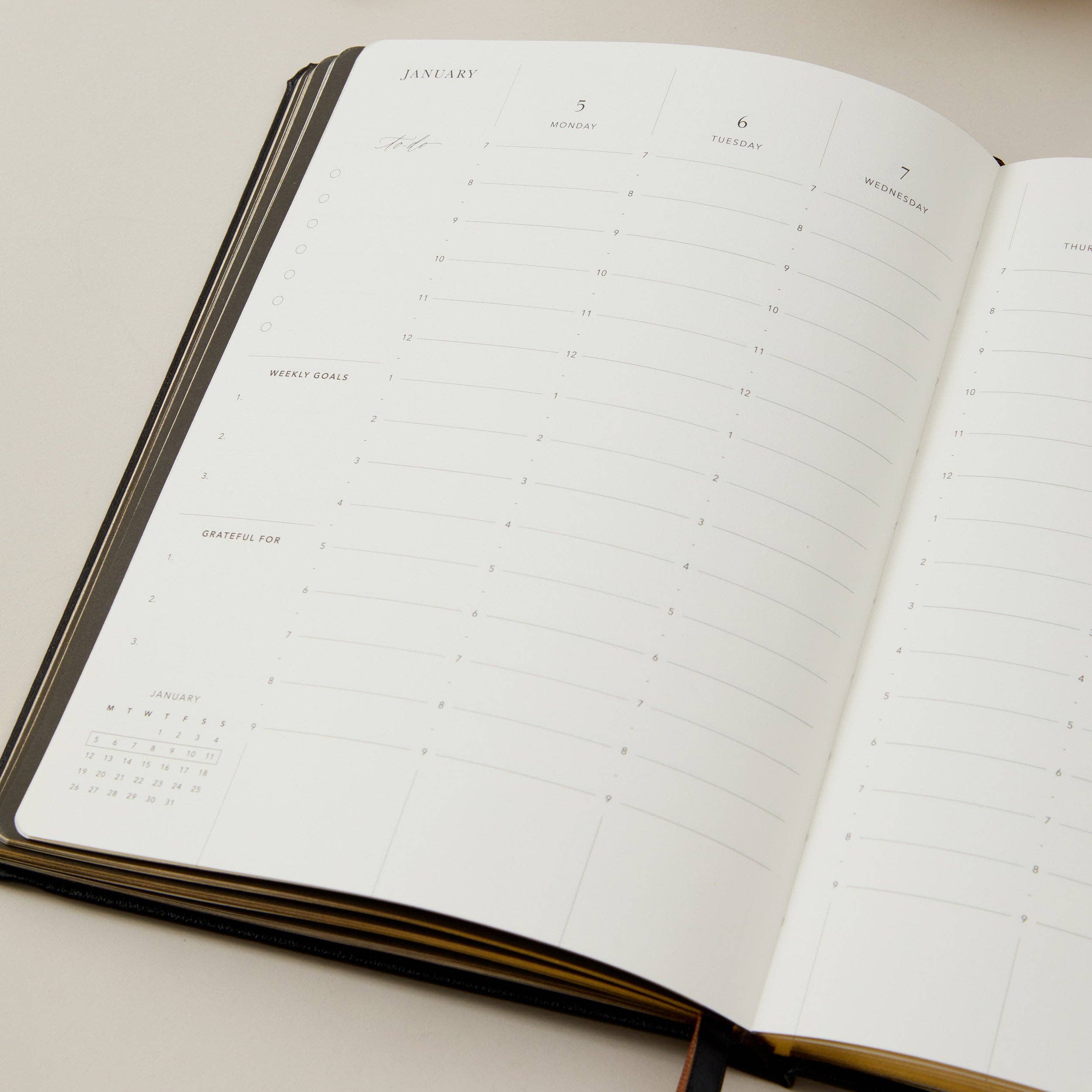 Blush And Gold - Wholesale Planner - 2026 Weekly Planner - Tortoise4