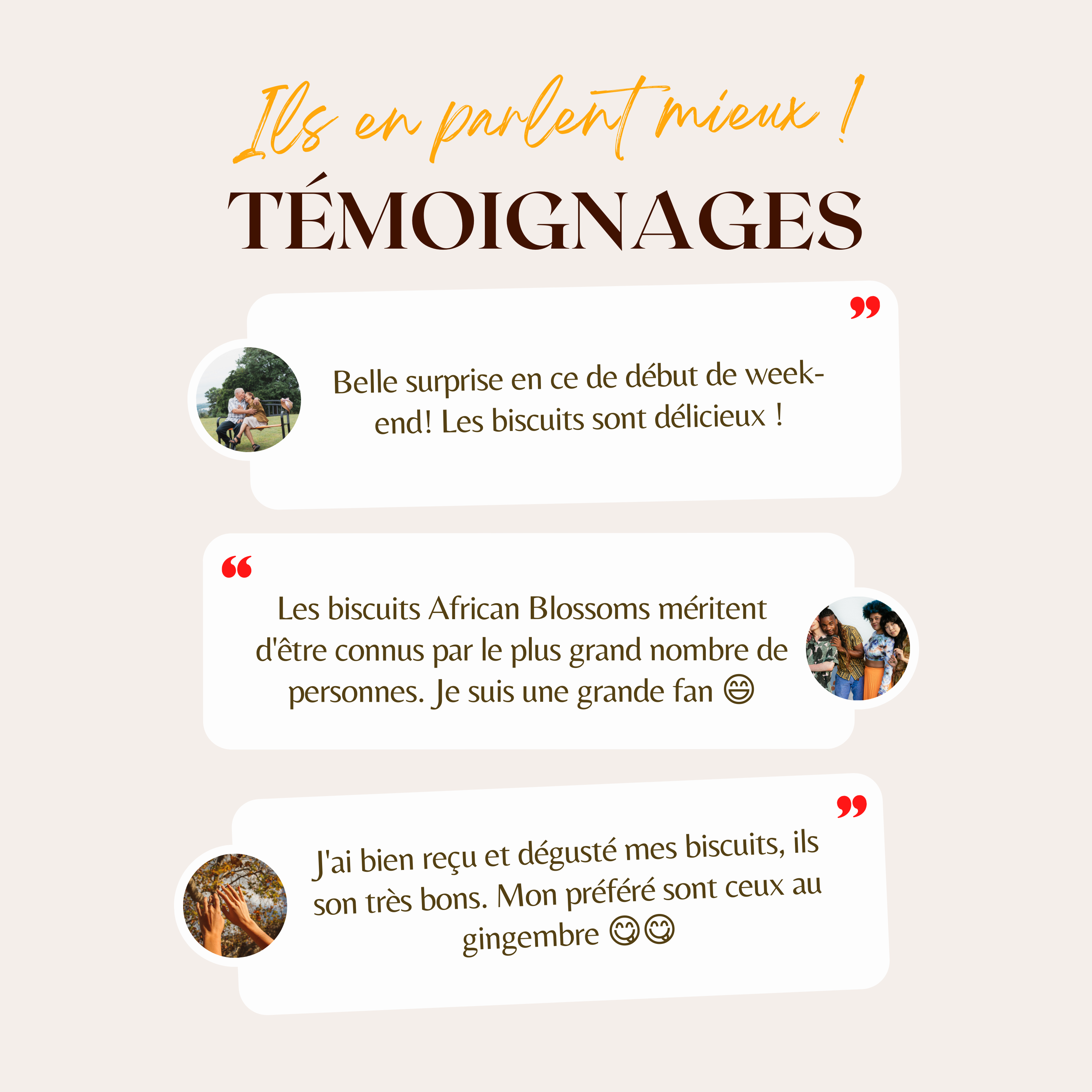 Africa Blossoms - Venta al por mayor Galletas - Galletas con mezcla de 4 especias7