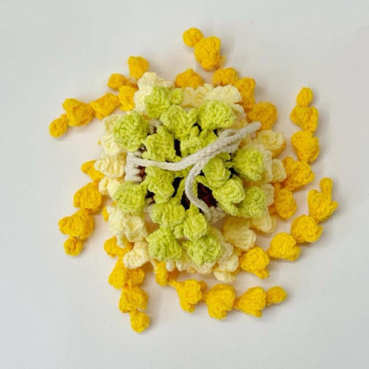 Anh2 LTD - Wholesale Decorative tabletop object - Wisteria Crochet, Hanging Flower Basket, Plant Decor Home3