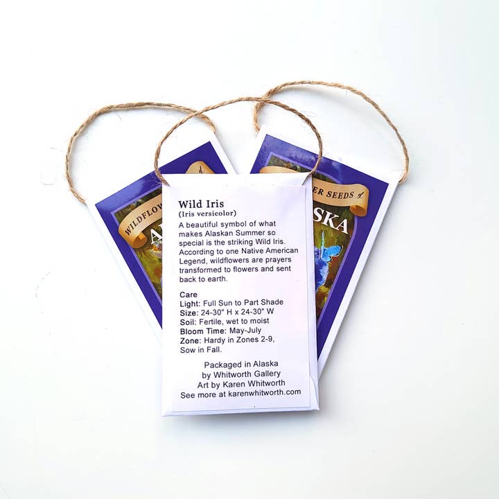 Whitworth Gallery - Wholesale Plant Seeds - Alaskan Iris Wildflower Seed Packets