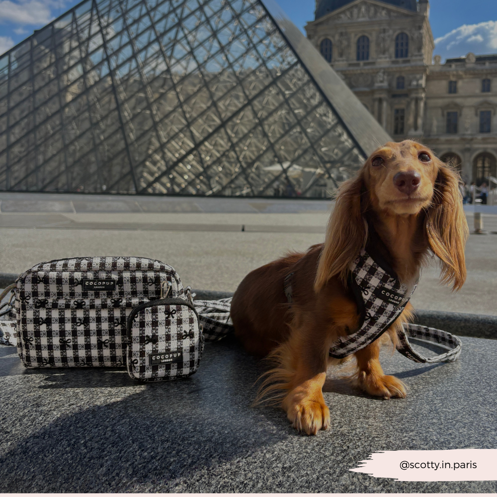 Cocopup London – wholesale Pet harness – Dog – Pup in Paris Adjustable Neck HARNESS12