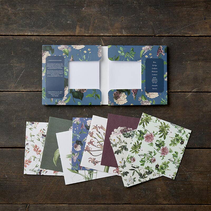 Koustrupco - Wholesale Everyday Greeting Card - Square cards/ Four season flowers 8 greeting cards w/envelop1