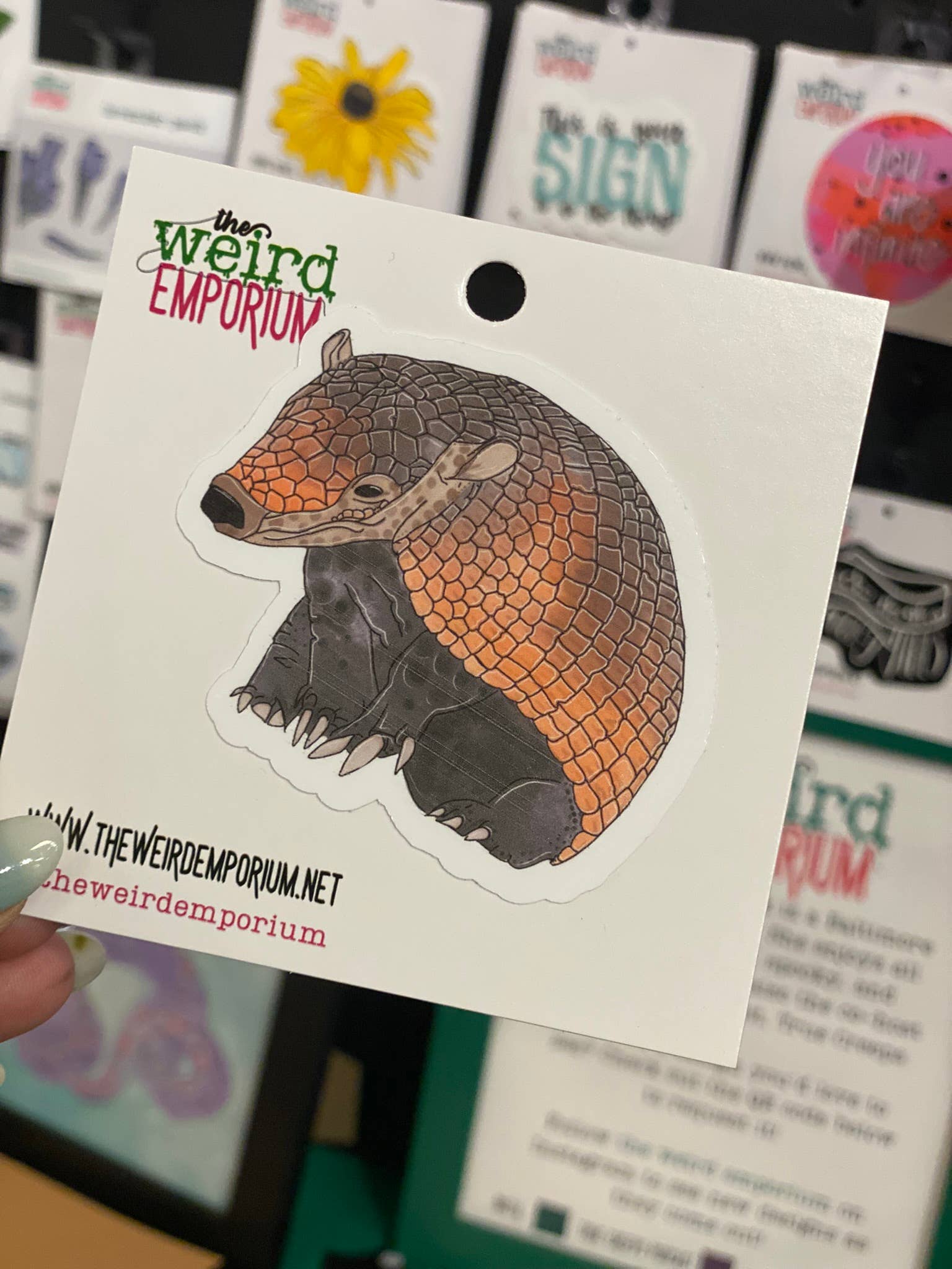 the weird emporium - Wholesale Sticker - 3" Armadillo Sticker1