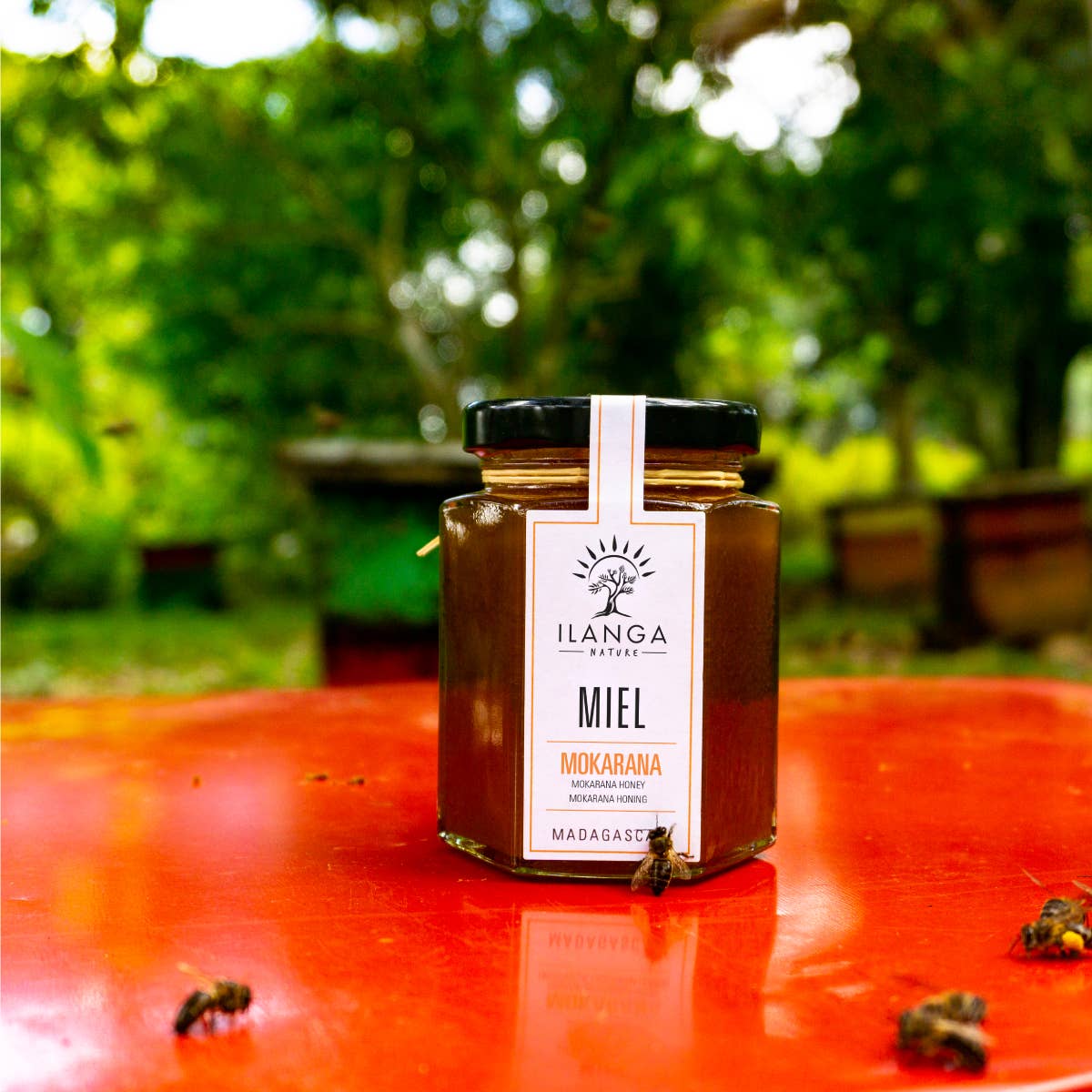 Ilanga Nature – Engroshandel Honning – Mokarana honning 250g1
