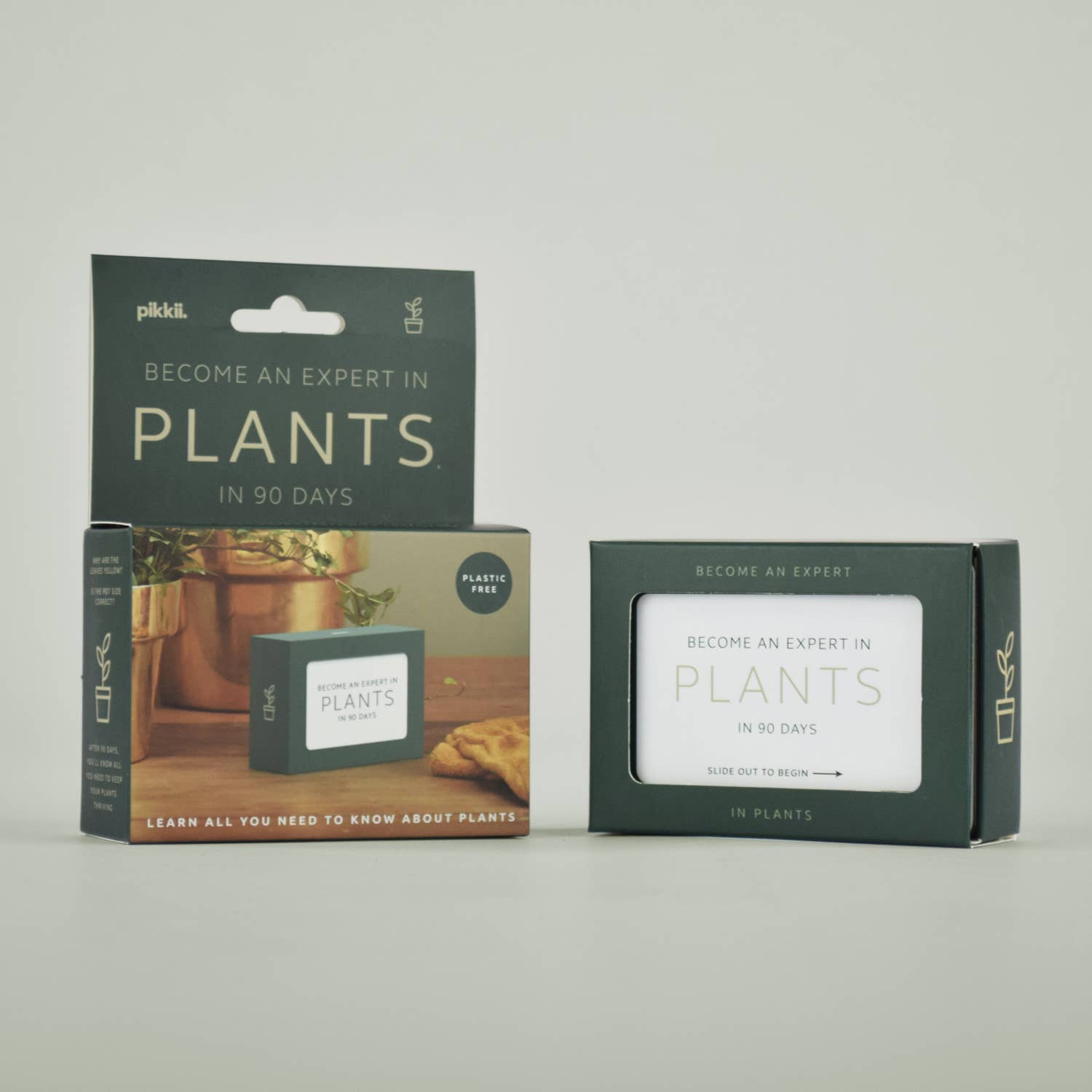 Pikkii – wholesale Plant seeds – Become an Expert in Plants in 90 Days Slide Box | Plant Gift11