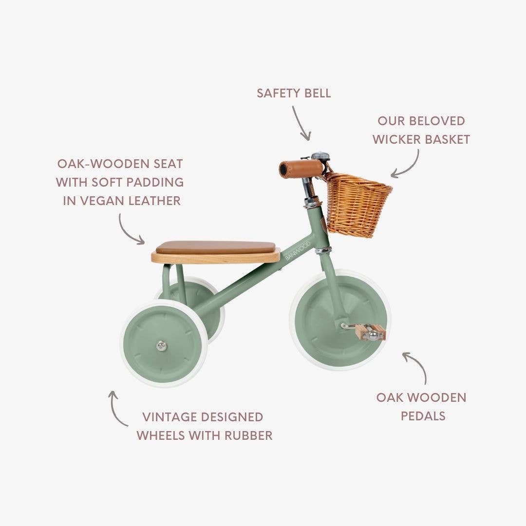 Banwood SL Europe - Wholesale Bike/Scooter - Kids - BANWOOD TRIKE VINTAGE - FOREST2