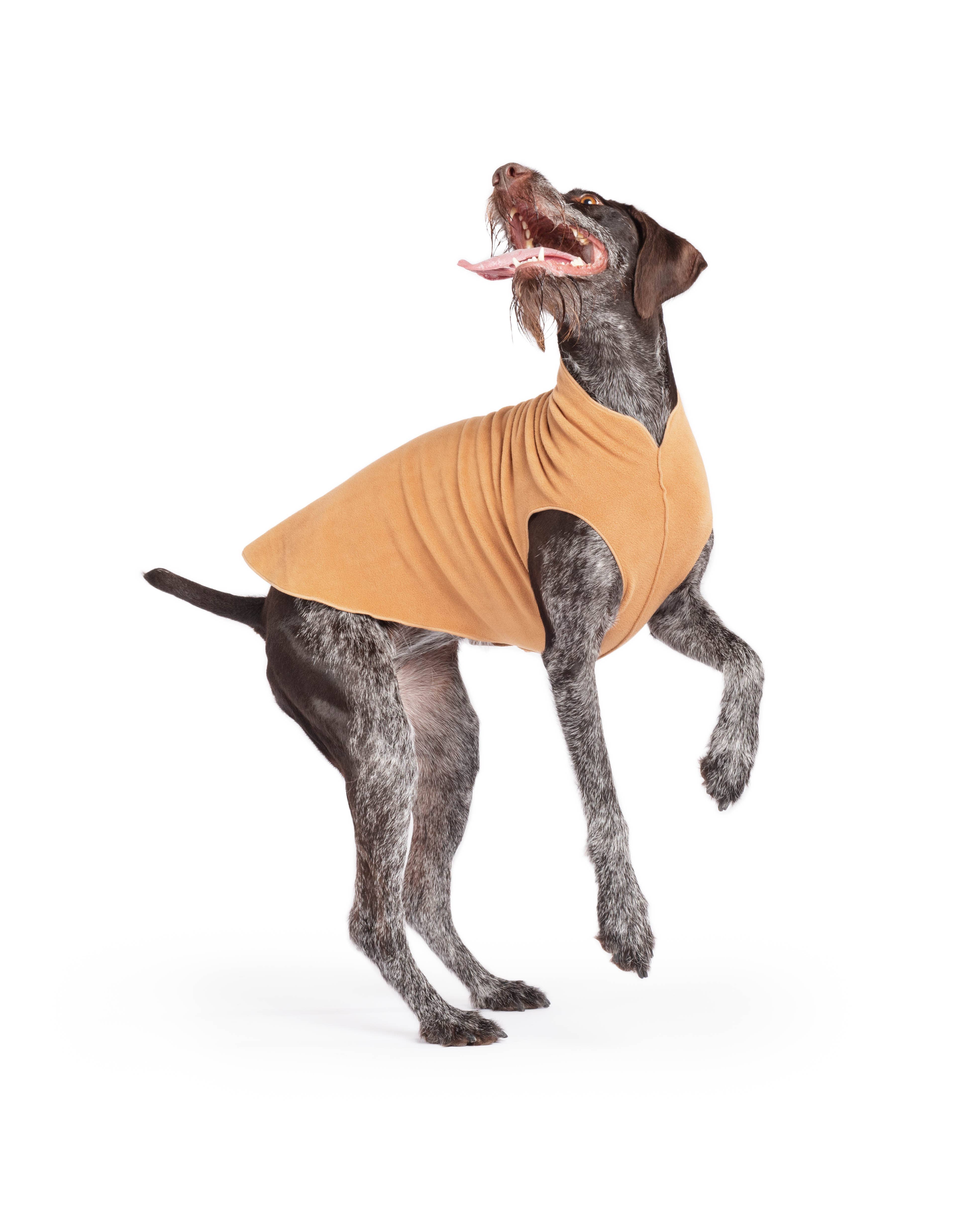 Gold Paw Series – wholesale Pet coat – Dog – Stretch Fleece Sizes 14-306