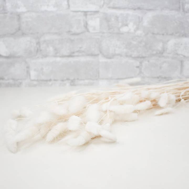 Bunny Tails (Bleached) for wholesale by Sola Wood Flowers