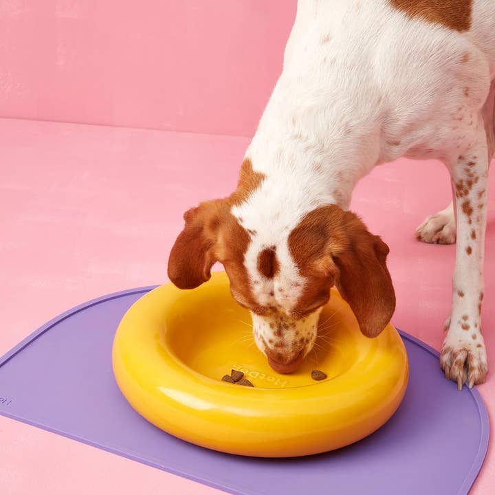HotDog Pets - Wholesale Pet Bowl - Cat/Dog - Yellow ceramic dog feeder11