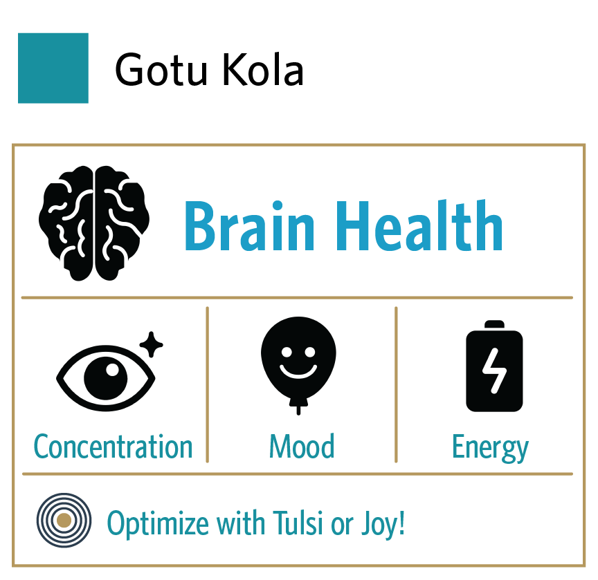 ORGANIC INDIA - Vente Supplément oral/vitamine - Gotu Kola2