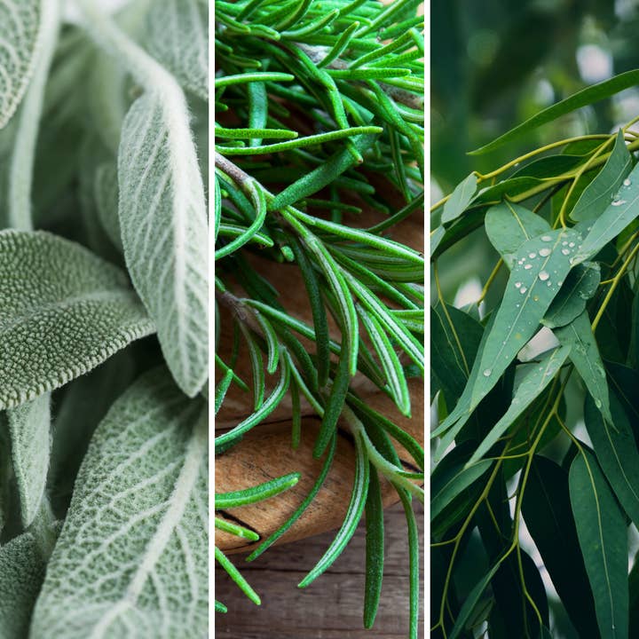 Inspired Candles - Wholesale Jar/filled candle - Sage, Rosemary, Eucalyptus 300g Candle1