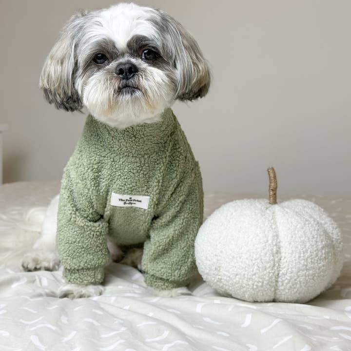 The Paw Print Boutique - Wholesale Pet Coat - Dog - Teddy Fleece - Sage Green7