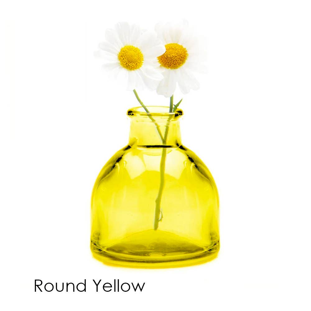 Chive - Wholesale Vase - Loft  Colorful Transparent Bud Vase Set Oval, Round, Square21