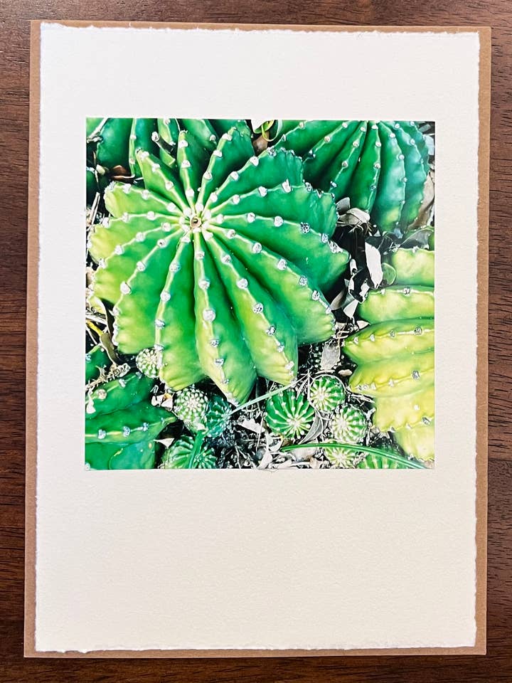 Texas Cacti 2 Photo Card & Kraft Envelope for wholesale by Kellie Lynne Designs