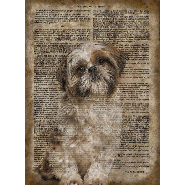 The Shizzle Print Co – wholesale Art print – Shit-tzu Vintage Paper Wood Wall Sign 16 x 12"
