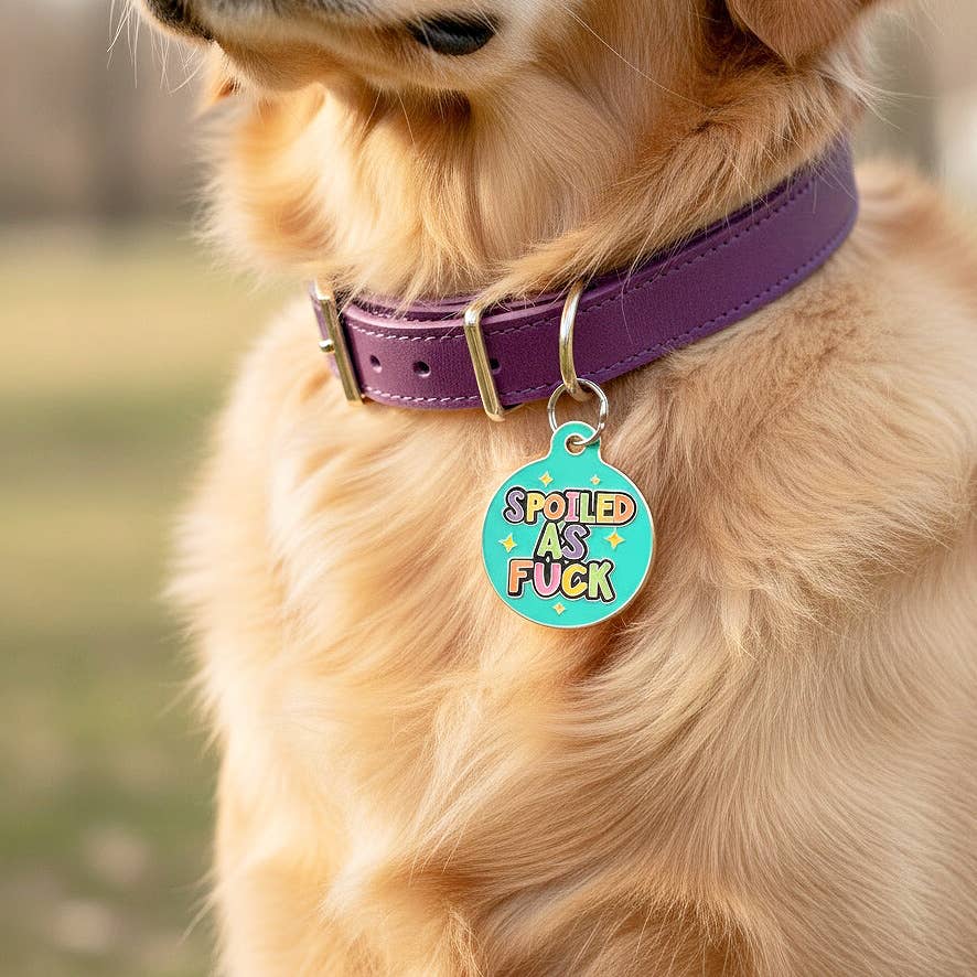 Bad Tags - Wholesale Pet Identification Tag - Cat/Dog - Enamel Dog Tag with Scannable Pet ID - Spoiled As Fuck2