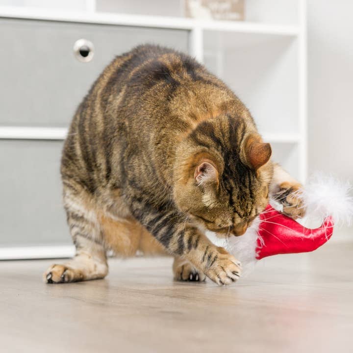 Huxley & Kent - Wholesale Pet Toy - Cat - Santa Hat & Sweet Thing Candy 2pk Cat Toy4