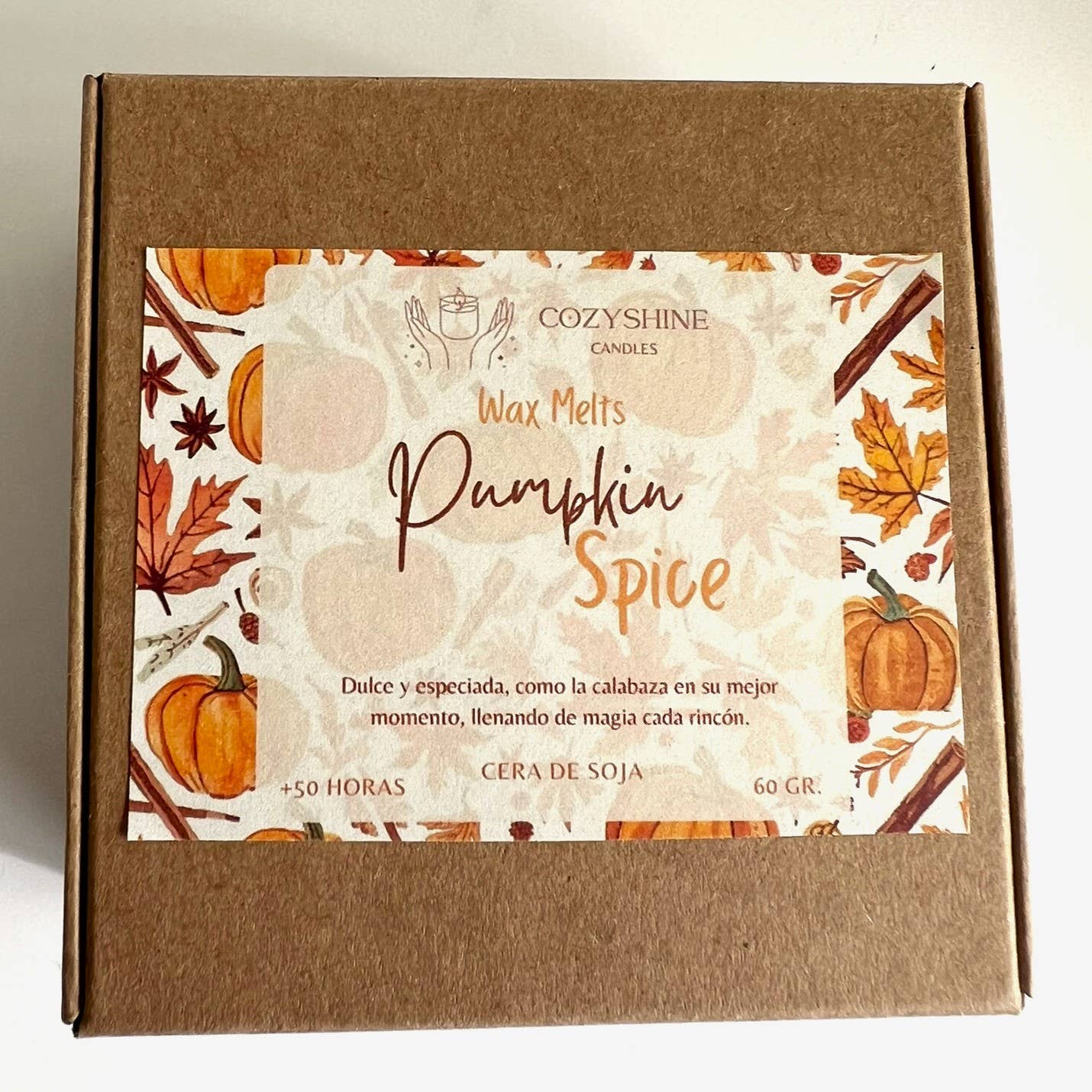 INZ Aragón S.Coop. Pequeña - Wholesale Wax Melt - Wax Melts Pumpkin Spice - Spiced Pumpkin1