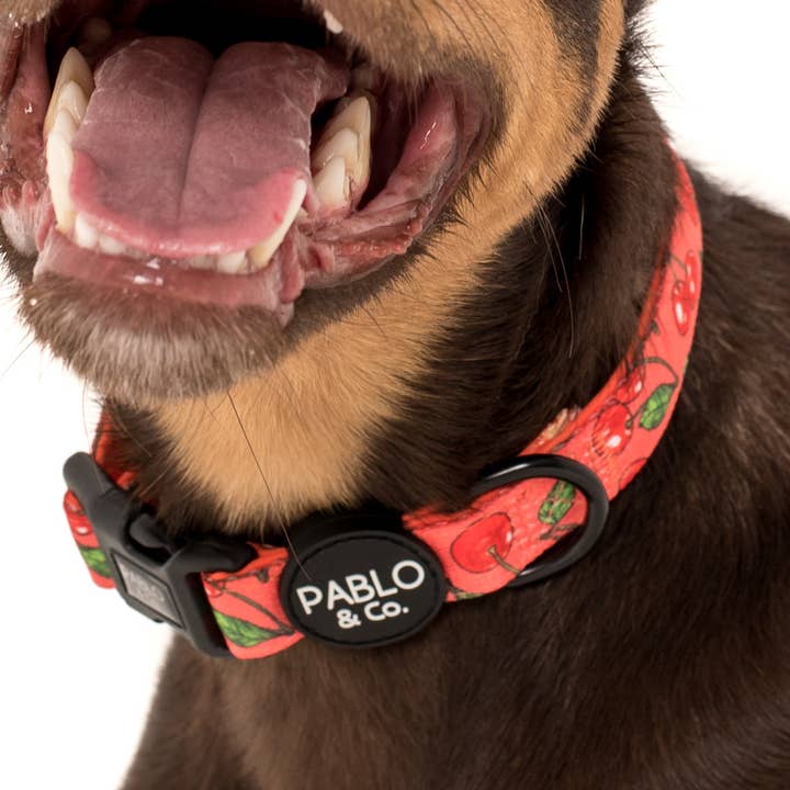 Cherry: Kragen für den Großhandel von Pablo & Co. Boutique