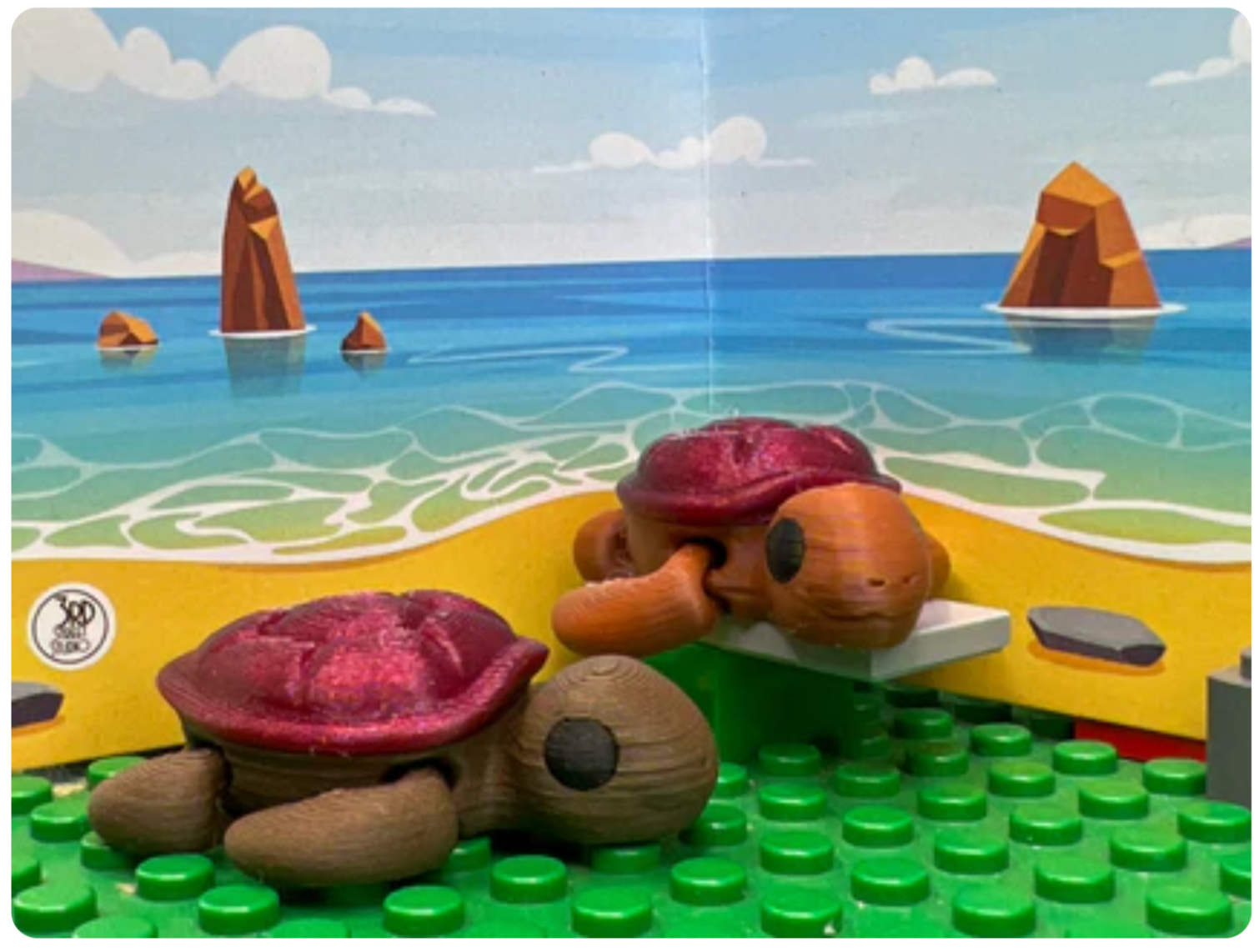 Third St. Studio - Wholesale Fidget Toy - Kids - Turtle - Fidget Friend4