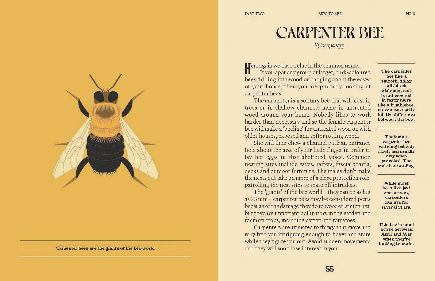 Chronicle Books - Wholesale Nature & Outdoors - Bees3