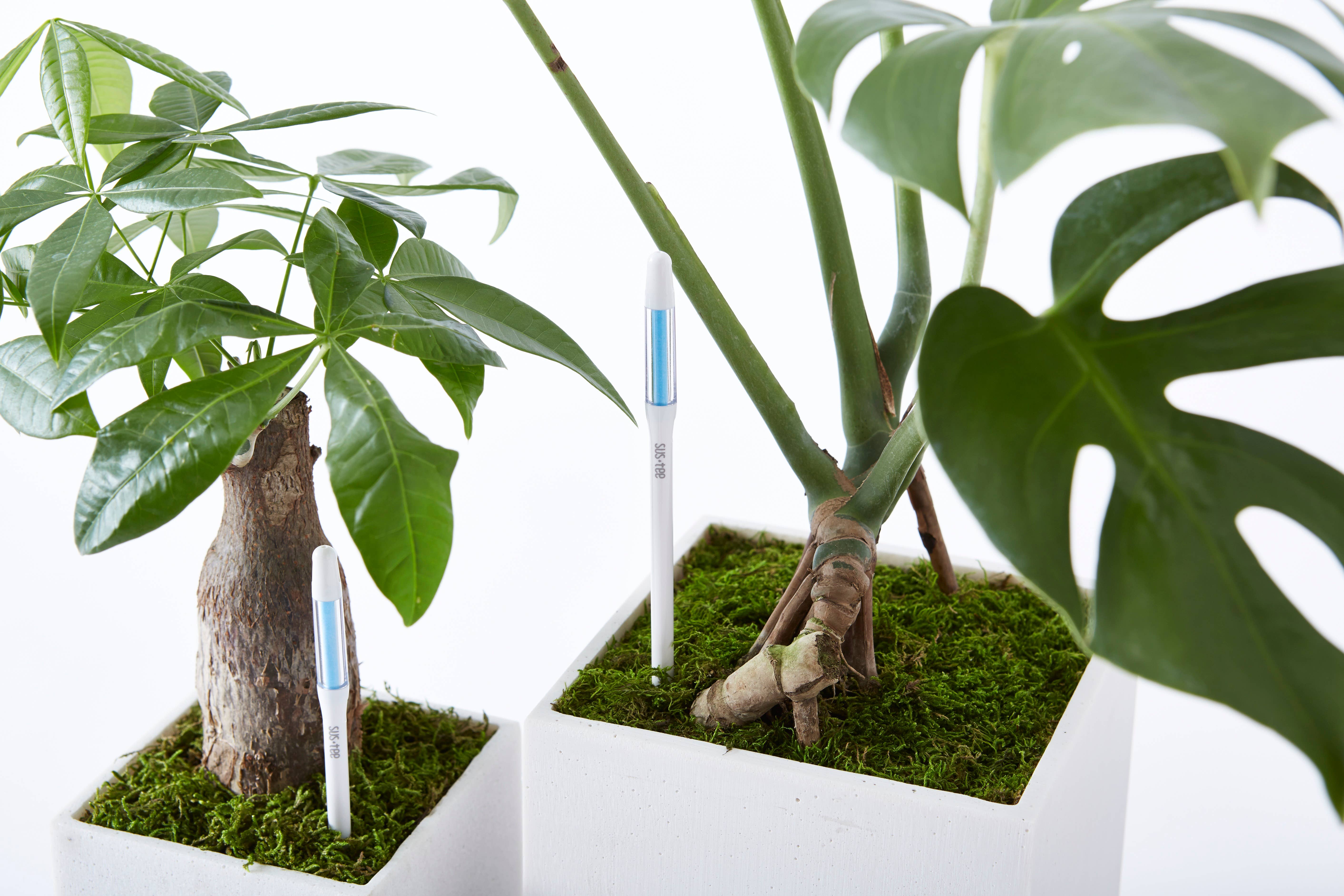 SUStee – wholesale Trädgårdsverktyg – SustEe 36pcs Pack Stor Grön4