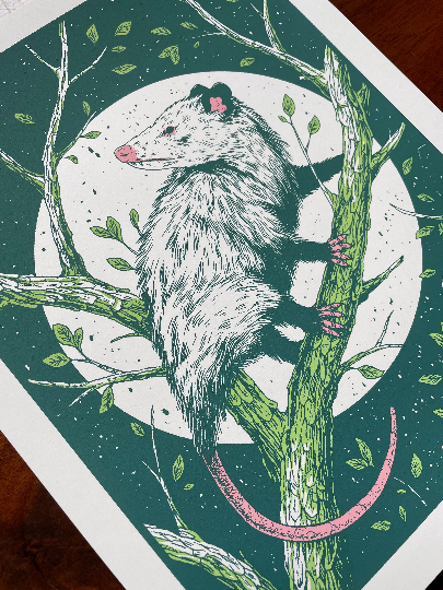 Logan Schmitt Illustration - Wholesale Art Print - Opossum4