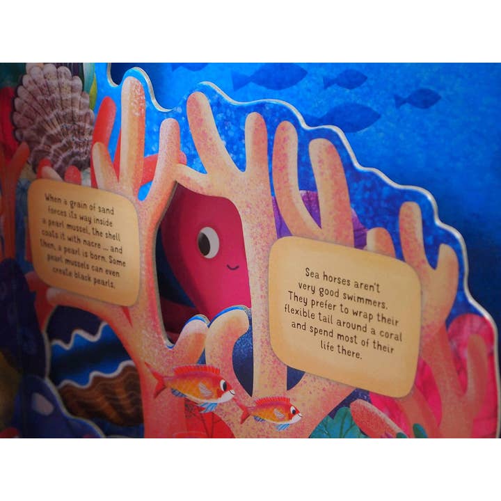 Fox Chapel Publishing - Vente Livre pour enfants de maternelle (de 3 à 5 ans) - À la découverte du monde secret : Coral Reef - Livre d'images pour enfants2