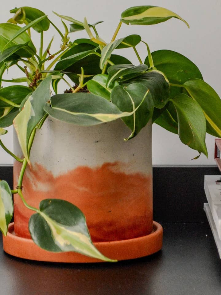 Planter Saucers for wholesale by LindaMakess