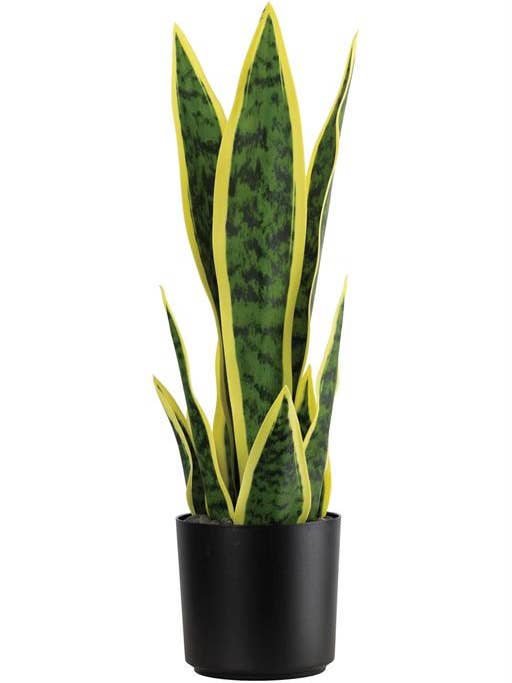 Snake Plant in Pot 16" Green/yellow for wholesale by Select Artificials, Inc.
