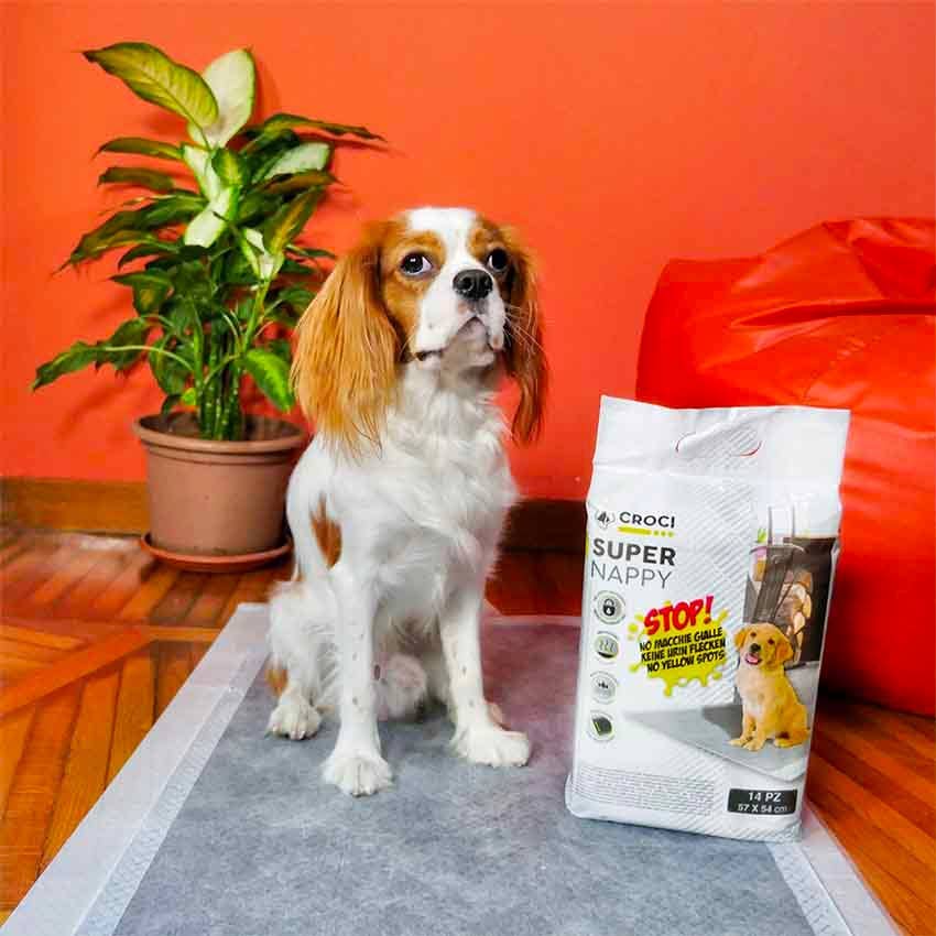 Croci Group – wholesale Pet pee pad – Dog – Dog pads - Super Nappy - Croci1