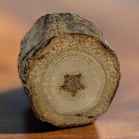 Spilla a forma di stella fatta di legno per la vendita all'ingrosso da parte di Isms