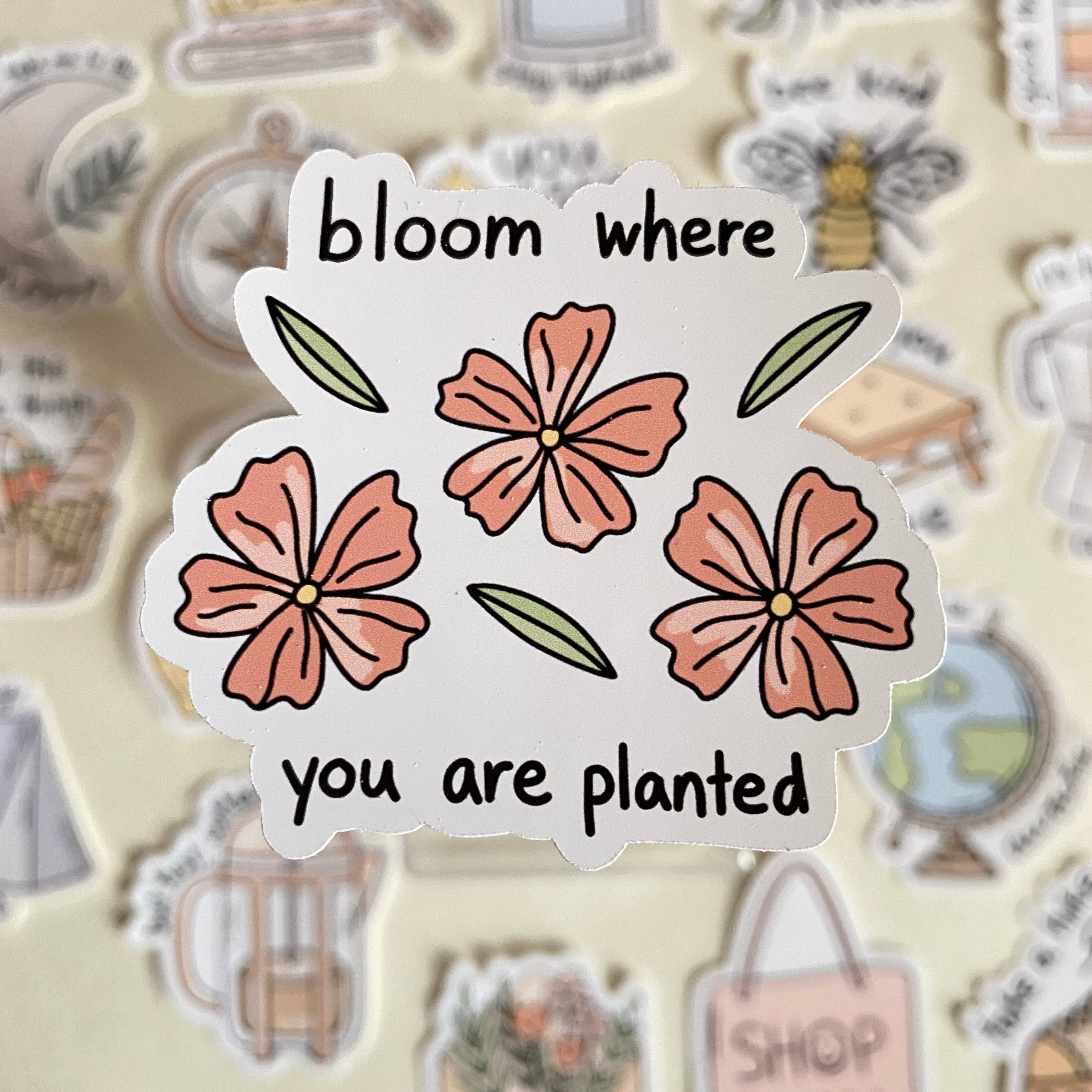 The Aesthetics Studio - Wholesale Sticker - Aesthetic die-cut stickers16