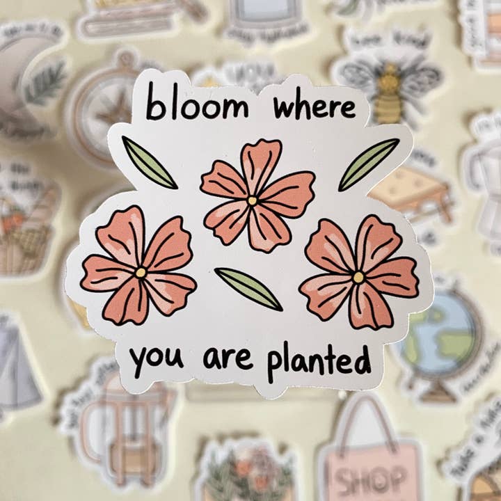 The Aesthetics Studio - Vendita all'ingrosso Adesivo - Adesivi estetici fustellati16